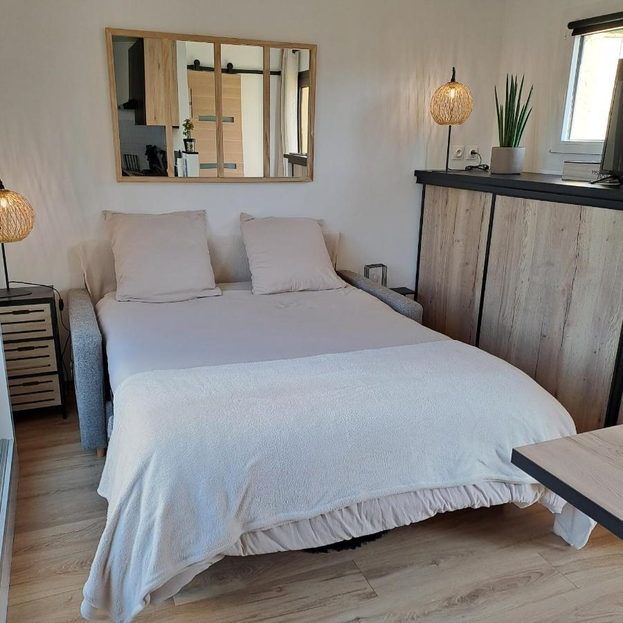 Studio Climatise Cosy Avec Grande Piscine Chauffee Agde Zewnętrze zdjęcie